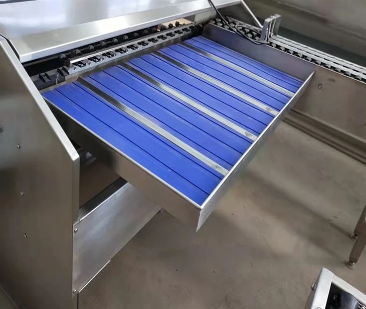 304 Stainless Steel Egg Grading Equipment 304 Stainless Steel Egg Grading Equipment